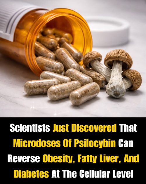 b885b440-8f91-47f3-ae59-5819670a885a